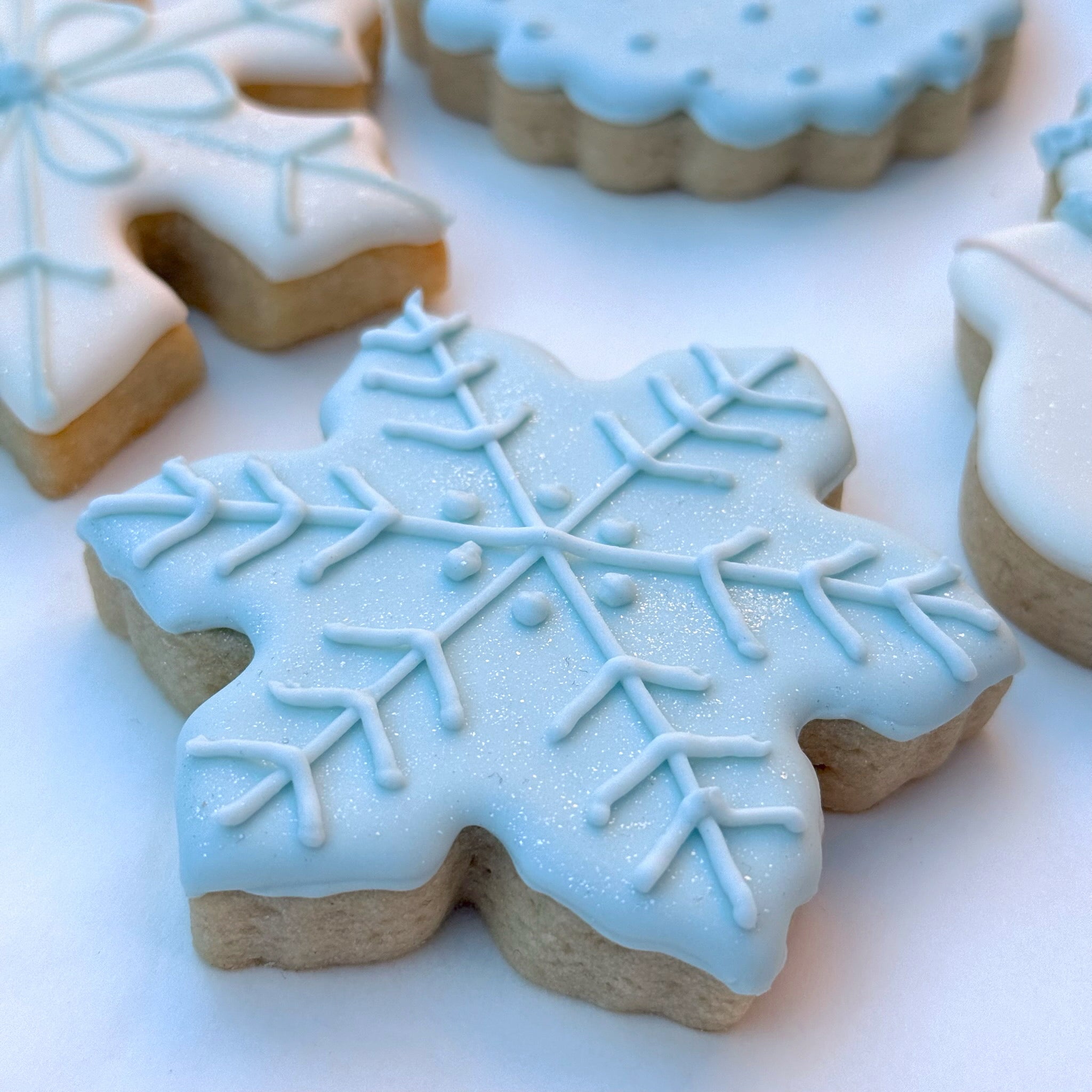 Winter Wonderland Collection